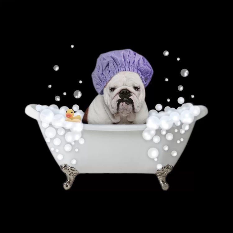 Bath Time Bubbles 3 by Marcus Prime wall art