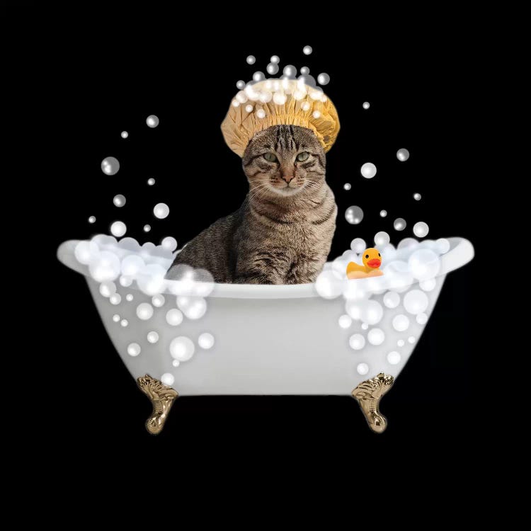 Fun Kitty Bath 4 by Marcus Prime wall art