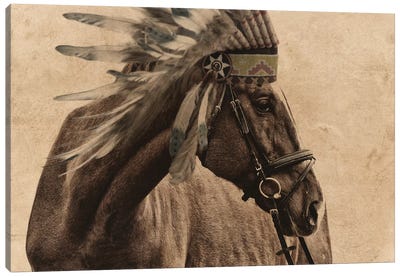 Native Horse Canvas Art Print - Marcus Prime