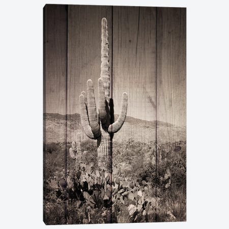 Western Vibes Canvas Print #PRM92} by Marcus Prime Canvas Print