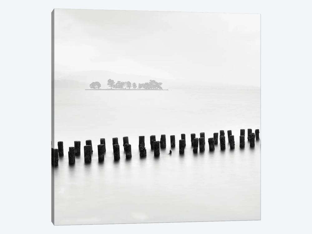Island And Tree by Praxis Studio 1-piece Canvas Print