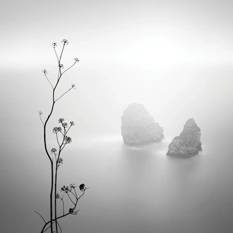 Silhouette And Rocks