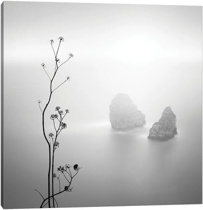 Silhouette And Rocks Canvas Art Print