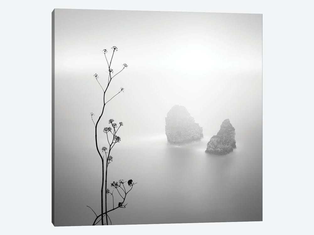 Silhouette And Rocks by Praxis Studio 1-piece Canvas Wall Art