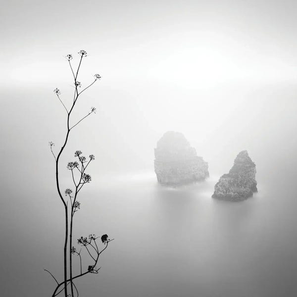Mist & Fog: Silhouette And Rocks by Praxis Studio