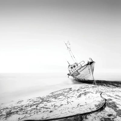 The Shipwreck by Praxis Studio acrylic art print