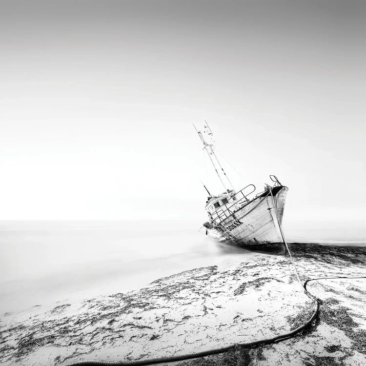 The Shipwreck