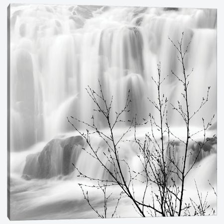 Waterfall Canvas Print #PRX21} by Praxis Studio Art Print
