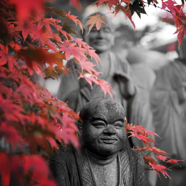 Color Pop Photography: Buddha Statues by Praxis Studio