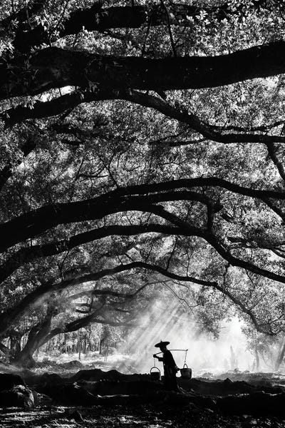 Chinese Décor: Chinese Farmer by Praxis Studio