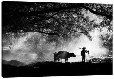 Chinese Farmer And Buffalo Canvas Art Print - Chinese Décor