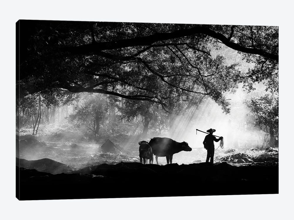 Chinese Farmer And Buffalo by Praxis Studio 1-piece Canvas Art Print