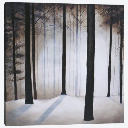 Winter Solace Canvas Print #PSG26} by Patrick St. Germain Canvas Artwork