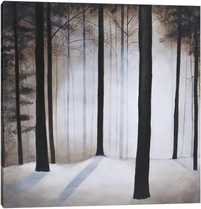 Winter Solace Canvas Art Print