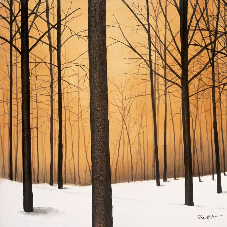 Winter Warmth by Patrick St. Germain wall art