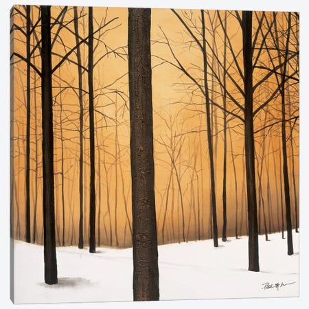Winter Warmth Canvas Print #PSG27} by Patrick St. Germain Canvas Wall Art