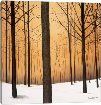 Winter Warmth Canvas Art Print