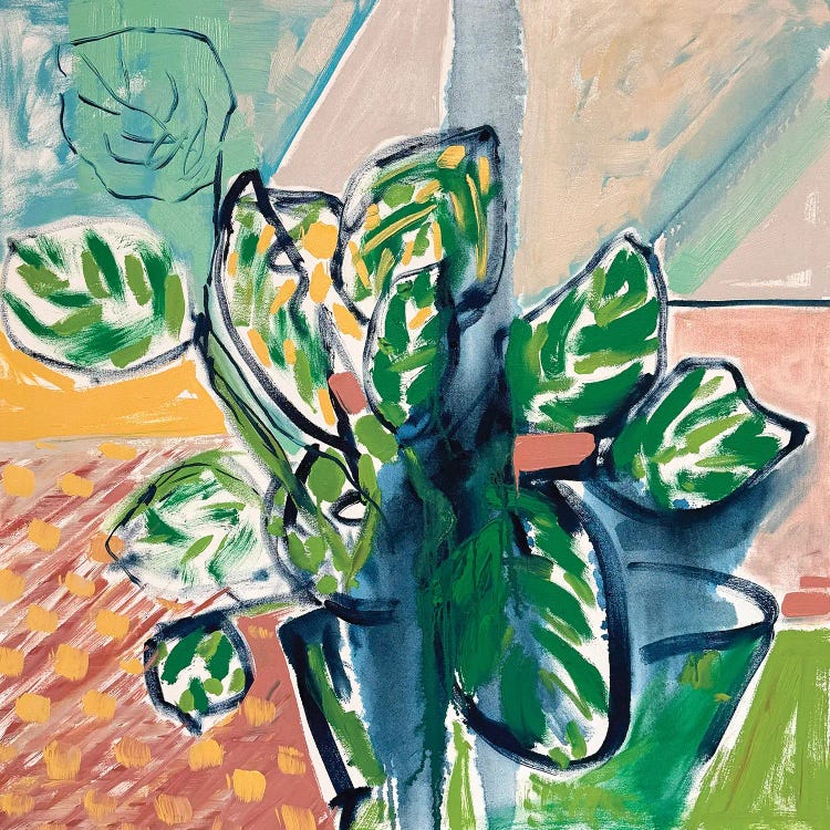 Prayer Plant