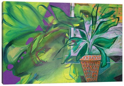 Potted Plant II Canvas Art Print - Pamela Staker