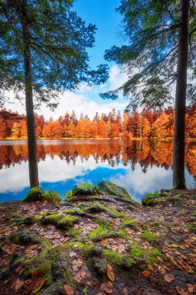 A Fairy Tale Come True by Philippe Sainte-Laudy canvas print