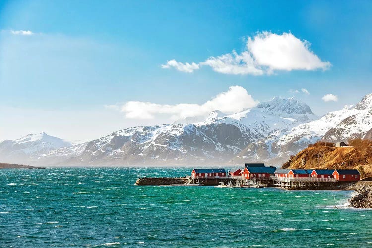 Lofoten On Windy Day