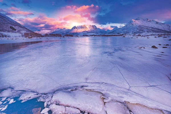 Ice & Snow Close-Ups: Losing All Sense by Philippe Sainte-Laudy