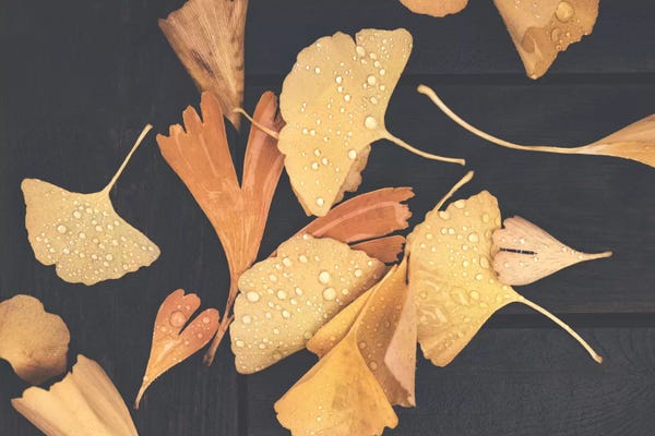 After Fall