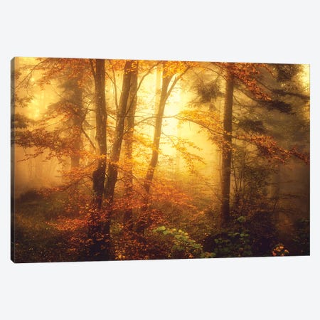 Fall Painting Art Print by Philippe Sainte-Laudy | iCanvas