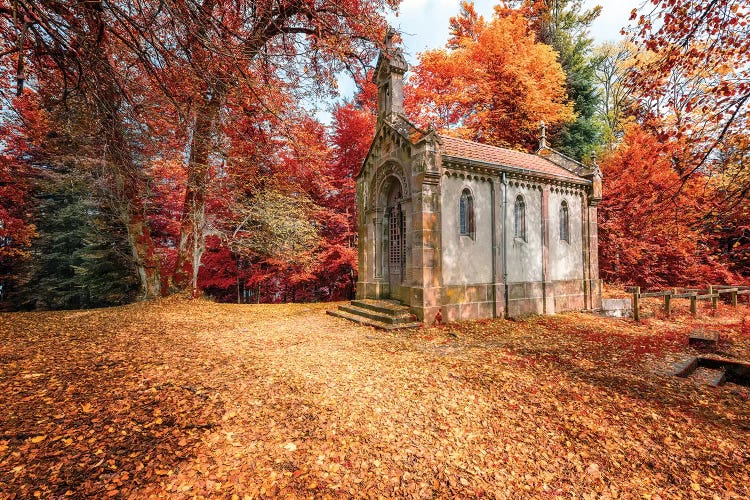 Old Kingdom by Philippe Sainte-Laudy wall art