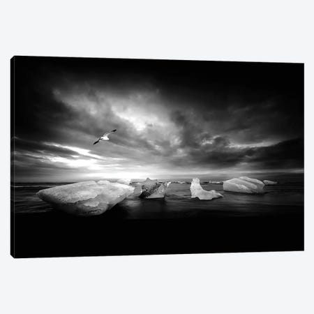 Once It Was A Light Canvas Print #PSL124} by Philippe Sainte-Laudy Canvas Wall Art