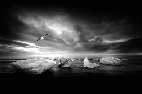 Ice & Snow Close-Ups: Once It Was A Light by Philippe Sainte-Laudy