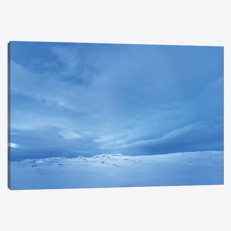 One Morning Blue Steel Canvas Print #PSL125} by Philippe Sainte-Laudy Canvas Wall Art