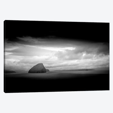 Out Of The Dark Canvas Print #PSL127} by Philippe Sainte-Laudy Canvas Artwork