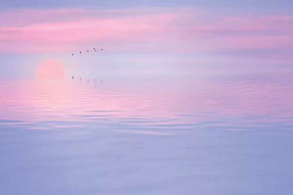 Pink Spirit