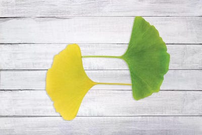 Pretty Fine Thing by Philippe Sainte-Laudy framed canvas print