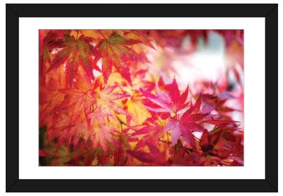 Red And Yellow Leaves Paper Art Print - Philippe Sainte-Laudy