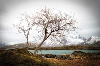 Tormented by Philippe Sainte-Laudy framed wall art