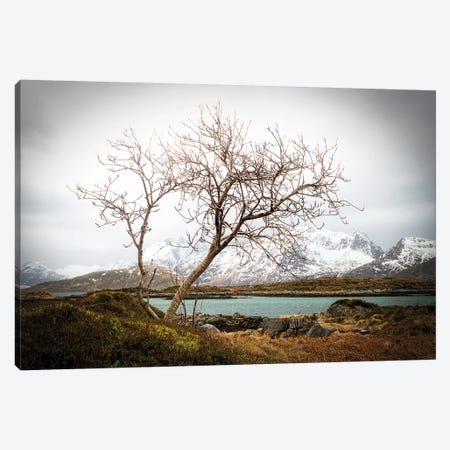 Tormented Canvas Print #PSL168} by Philippe Sainte-Laudy Canvas Print