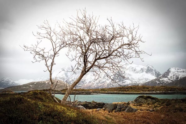 Snowy Mountains: Tormented by Philippe Sainte-Laudy