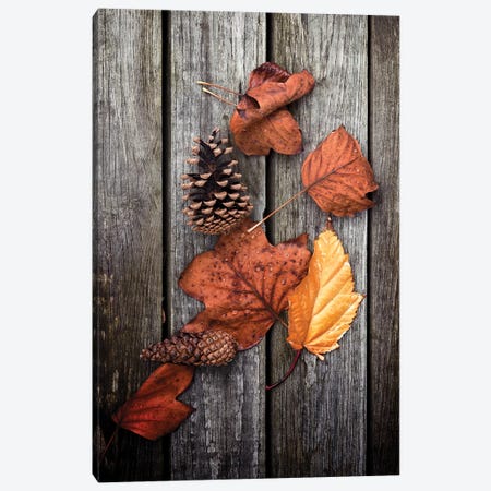 Under Trees Canvas Print #PSL173} by Philippe Sainte-Laudy Canvas Artwork