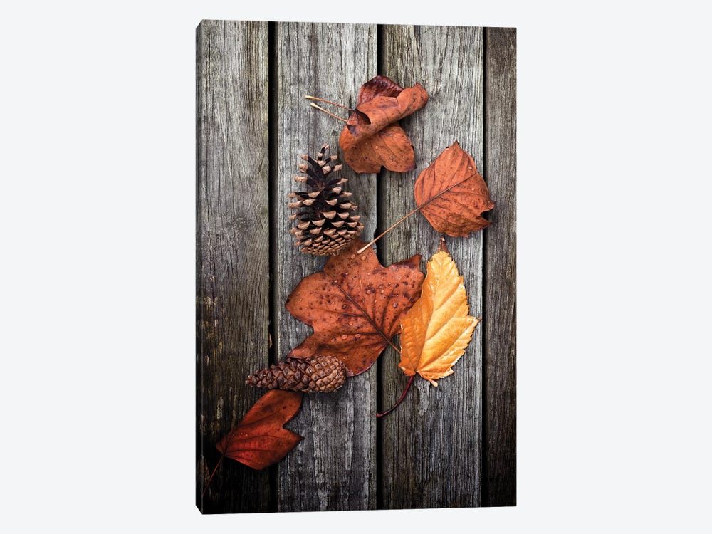Under Trees by Philippe Sainte-Laudy 1-piece Canvas Wall Art