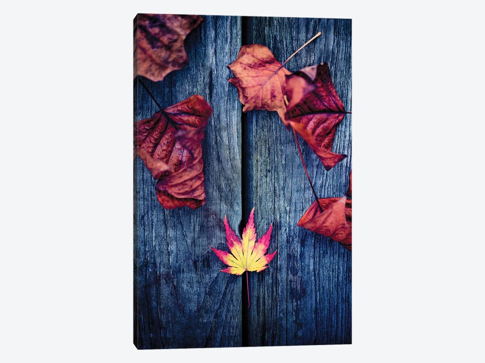 Welcome Autumn by Philippe Sainte-Laudy 1-piece Canvas Art