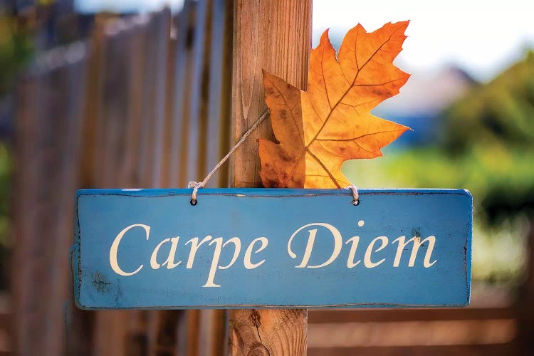 Welcoming Fall In The Carpe Diem