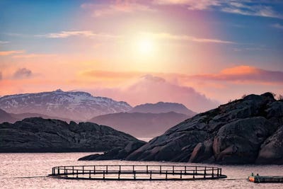 Witnessing The Death Of The Sun by Philippe Sainte-Laudy canvas print