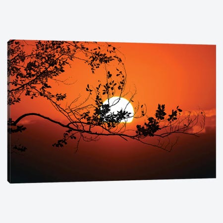 World On Fire Canvas Print #PSL188} by Philippe Sainte-Laudy Canvas Print