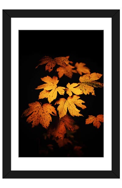 Autumn Photo Framed Art Print - Philippe Sainte-Laudy