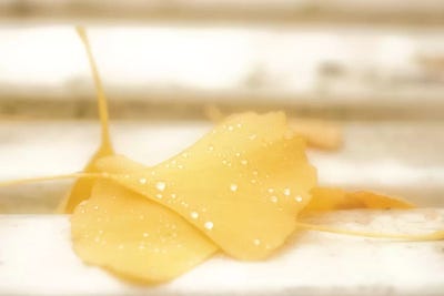 Yellow Sweetness by Philippe Sainte-Laudy canvas print