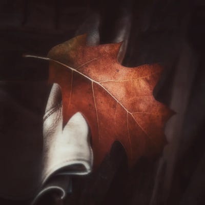 On The Corner by Philippe Sainte-Laudy canvas print