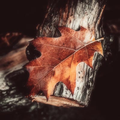 Everything Is Nothing by Philippe Sainte-Laudy canvas print