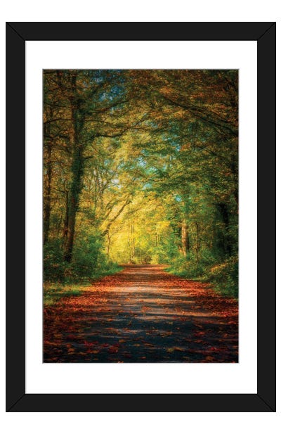 Mystic Autumn Day Framed Art Print - Philippe Sainte-Laudy